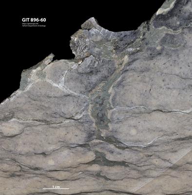 <i></i><br />Reinu Quarry,  m, 