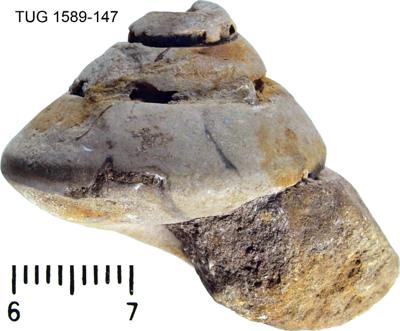 https://files.geocollections.info/large/4f/8c/4f8c34cc-6b7f-4af9-b1c1-daf2a5e9a920.jpg