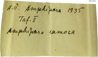 https://files.geocollections.info/large/50/0c/500ca490-31c3-439a-8889-ab854a95b68f.jpg