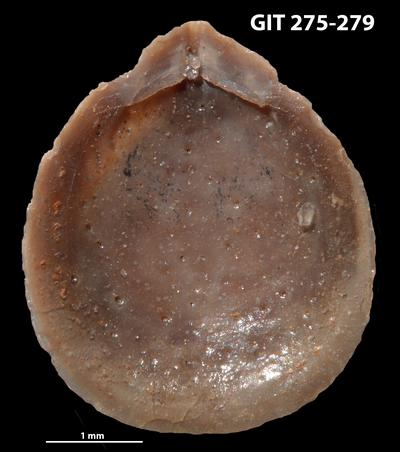 https://files.geocollections.info/large/50/f7/50f797f3-c2e1-4153-b675-9a348b669ed6.jpg