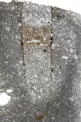 <i></i><br />Keila River, upstream of the waterfall,  m, 