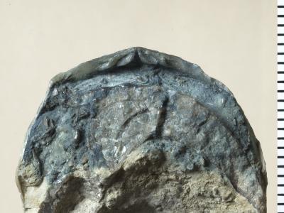 https://files.geocollections.info/large/51/8d/518d1b10-177a-43f2-ab78-f8ca86787aaa.jpg