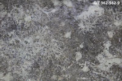 <i></i><br />Ohesaare cliff,  m, Ohesaare Stage