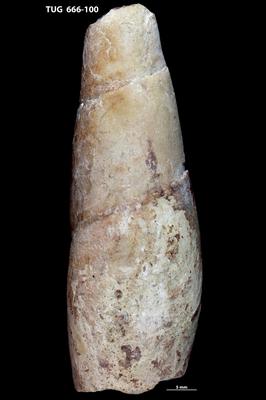 https://files.geocollections.info/large/52/13/521311ac-4de3-4df1-a9b6-11c6afe6109a.jpg