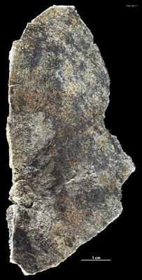 https://files.geocollections.info/large/52/3b/523b7afd-36f1-4d0d-baa5-57f4b3ee2aad.jpg