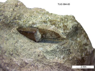 https://files.geocollections.info/large/52/79/52790c04-5d79-46f4-ac31-0aa76e2d37b6.jpg