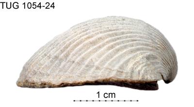 https://files.geocollections.info/large/52/86/5286a337-6521-43bf-a817-ef966513e503.jpg