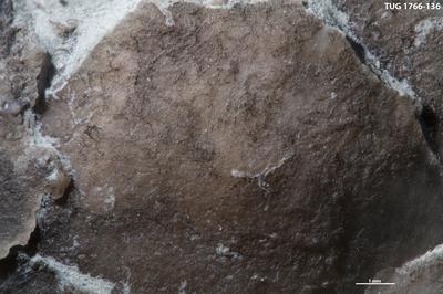 https://files.geocollections.info/large/52/ad/52ad4f0e-ad78-4572-b15d-bbf4470ea67b.jpg