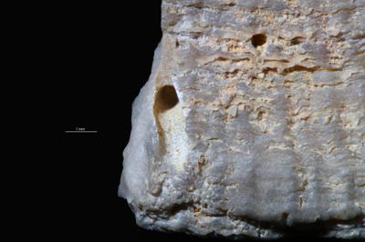 <i></i><br />Kohtla,  m, Kukruse Stage