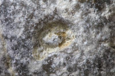 <i></i><br />Suuriku cliff,  m, Jaani Stage