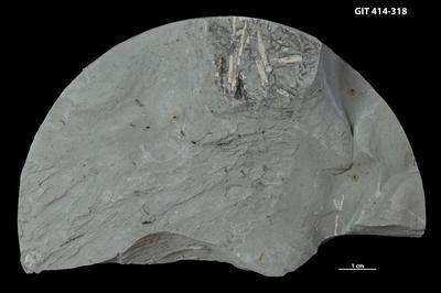 https://files.geocollections.info/large/53/79/5379f9fd-4555-4b87-ab03-2fe99b7a3dea.jpg