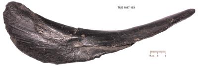 https://files.geocollections.info/large/54/1a/541a7c0e-3dc0-4811-90e1-1f5e57b70741.jpg