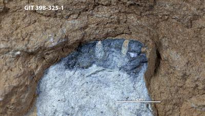 <i></i><br />,  m, Kukruse Stage