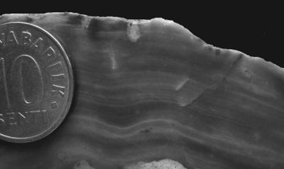 https://files.geocollections.info/large/54/69/546906cc-5260-46d4-9d80-02e23e15552b.jpg