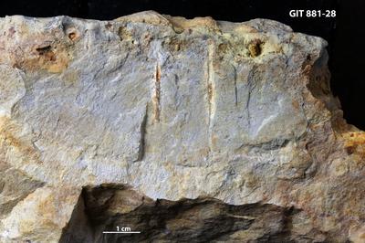 <i></i><br />Sutlema quarry,  m, 