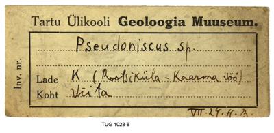 https://files.geocollections.info/large/55/8c/558cee3b-1623-43f4-a4d0-42d1523551ee.jpg