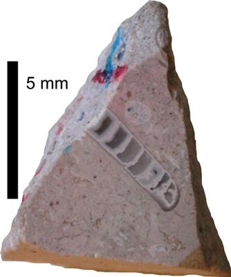 https://files.geocollections.info/large/55/9b/559bafd9-c3c7-4bf0-af23-017e66598a77.jpg
