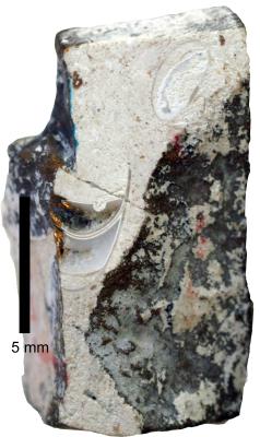 https://files.geocollections.info/large/56/4d/564db71e-709f-438f-9009-0922bce40158.jpg