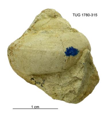 https://files.geocollections.info/large/56/62/5662f4ea-ead5-4571-a292-26e4647bd82c.jpg