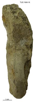 https://files.geocollections.info/large/57/f0/57f0454a-9118-4214-90c7-b267240a2a8e.jpg