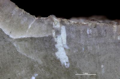 https://files.geocollections.info/large/58/0e/580e8e23-94da-47b5-8415-ad809f8374fa.jpg