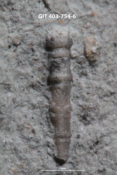 https://files.geocollections.info/large/58/35/5835b4ae-8e4e-4fa1-8fc6-772267d69d13.jpg