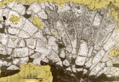 https://files.geocollections.info/large/58/97/58972cc2-d453-42c7-b9c0-446f3ade6787.jpg
