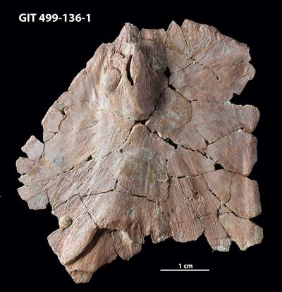 https://files.geocollections.info/large/58/9e/589e2276-a6b5-4c74-b217-3eddd19d98aa.jpg