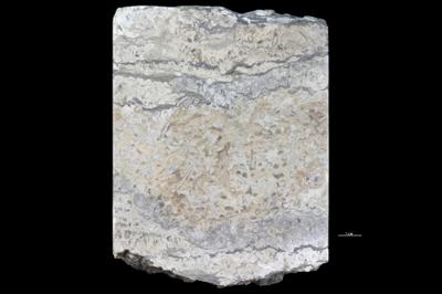https://files.geocollections.info/large/58/ce/58ceedaa-360e-4771-840e-4e183f18221b.jpg