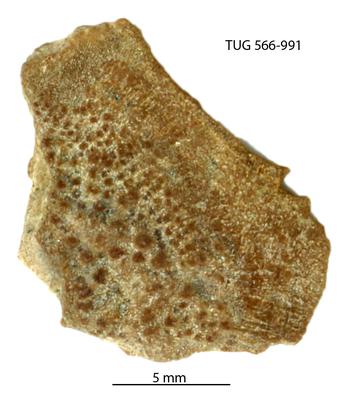 https://files.geocollections.info/large/59/46/5946ccbb-f083-435b-93ab-72635ca27b16.jpg