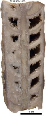 https://files.geocollections.info/large/59/7a/597aba7d-602d-4b2c-be7f-4894921190d6.jpg
