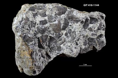 https://files.geocollections.info/large/59/bc/59bc0dce-e7e9-4ebf-b917-0091d171a4eb.jpg