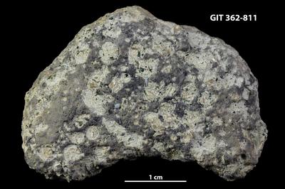 <i></i><br />Harku quarry,  m, Volkhov Stage