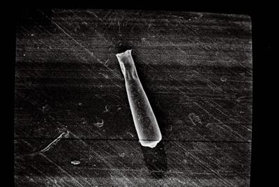 <i><i>Conochitina</i> | Conochitina sp. sp.</i><br />Ruhnu 500 borehole, 388.90 m, Jaagarahu Stage (754-683)