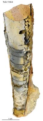 https://files.geocollections.info/large/5a/cc/5acc562c-5973-4e5d-ac37-0f2d20bdbd74.jpg
