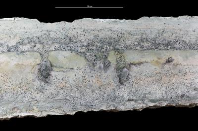 <i></i><br />Uuga Cliff 1, Parki peninsula,  m, Volkhov Stage