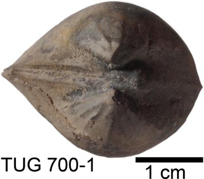 https://files.geocollections.info/large/5a/eb/5aeb0113-3367-4a0f-adca-984d5390d89f.jpg