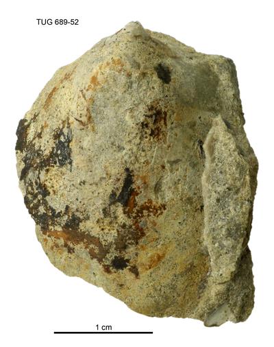 https://files.geocollections.info/large/5b/70/5b705d52-6133-4738-bd9b-f8a8d0dec443.jpg