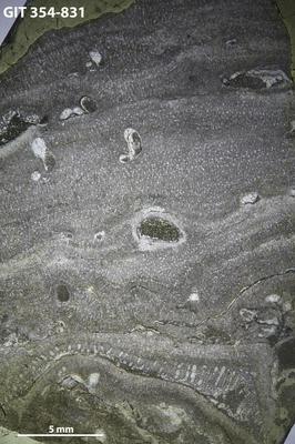 https://files.geocollections.info/large/5b/87/5b875a60-0d34-4c63-983d-34a89b4a9a56.jpg