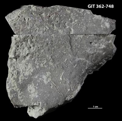 <i></i><br />Ohesaare cliff,  m, Ohesaare Stage