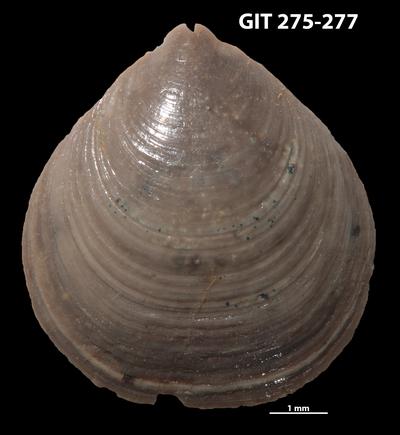https://files.geocollections.info/large/5b/c8/5bc81b36-4b10-4444-874c-f63f21dba6b6.jpg