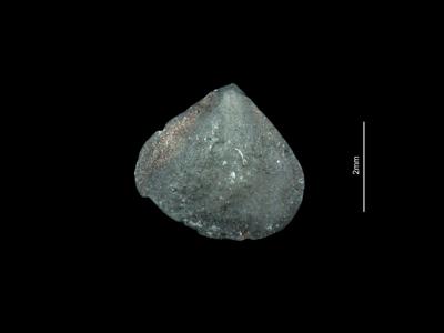 https://files.geocollections.info/large/5c/3d/5c3dbe79-fff5-4a13-a542-7beddcb98f0e.jpg
