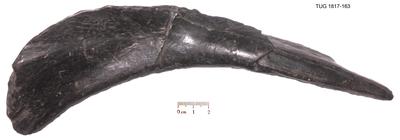 https://files.geocollections.info/large/5c/b7/5cb72eb4-f958-4386-aea0-b10b68280356.jpg