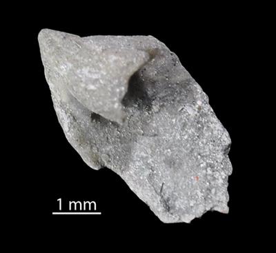 https://files.geocollections.info/large/5c/f1/5cf1acb1-5a22-44e8-9ead-52af34e09ef9.jpg