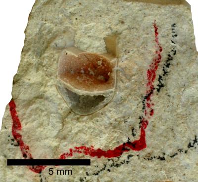 https://files.geocollections.info/large/5d/4f/5d4fb767-bcb3-4f36-befe-d26f8bdf9873.jpg