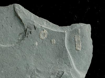 https://files.geocollections.info/large/5d/af/5dafdddb-261b-4c01-a976-046b1edeba30.jpg