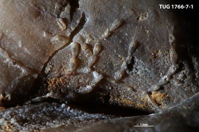 https://files.geocollections.info/large/5e/0e/5e0eee95-69e1-4229-b5b4-3c0d8115e676.jpg