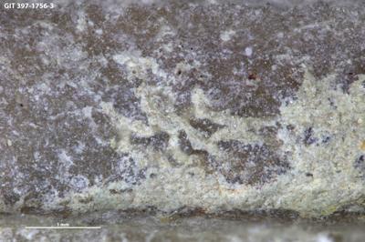 <i></i><br />Kõinastu islet,  m, Adavere Stage