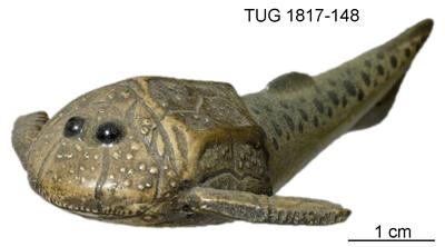 https://files.geocollections.info/large/5e/6c/5e6c1abf-ea77-4783-80e7-1d4ca90d1a45.jpg