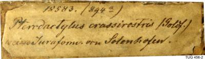 https://files.geocollections.info/large/5f/0d/5f0d0656-dfc3-47a1-8bcb-8400d68af678.jpg